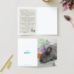 Bunny Play Packs